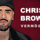 Chris Brown Vermögen und Einkommen