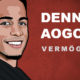 Dennis Aogo Vermögen und Einkommen