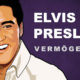 Elvis Presley Vermögen und Einkommen