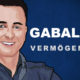 Andreas Gabalier Vermögen und Einkommen