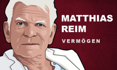 Matthias Reim Vermögen und Einkommen