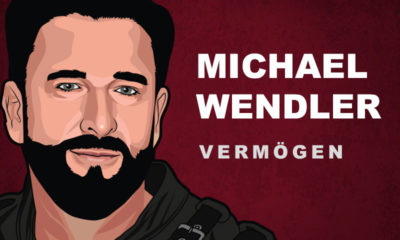 Michael Wendler Vermögen und Einkommen