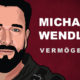 Michael Wendler Vermögen und Einkommen
