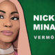 Nicki Minaj Vermögen und Einkommen