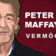 Peter Maffay Vermögen und Einkommen