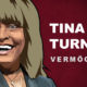 Tina Turner Vermögen und Einkommen