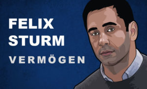 Felix Sturm Vermögen