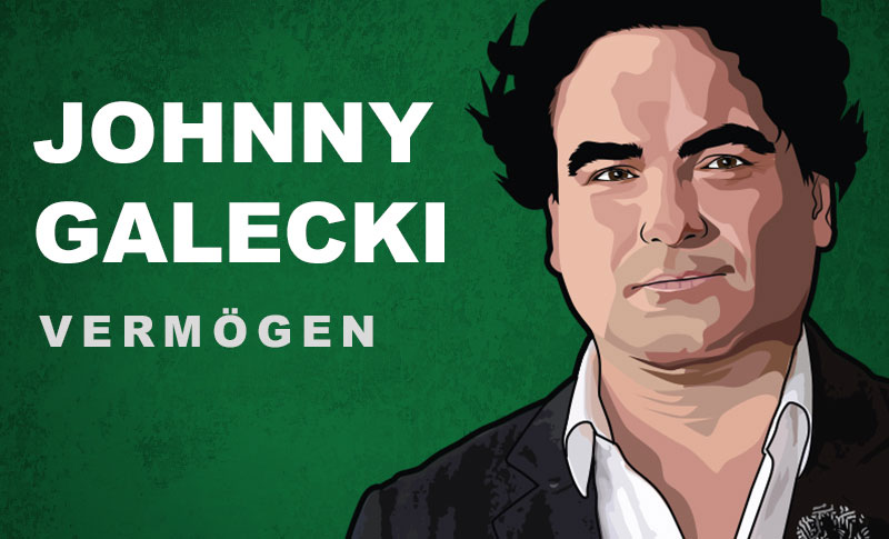 Johnny Galecki Vermögen und Einkommen