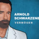 Arnold Schwarzenegger Vermögen und Einkommen