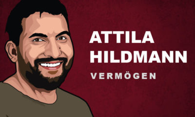 Attila Hildmann Vermögen und Einkommen