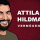 Attila Hildmann Vermögen und Einkommen