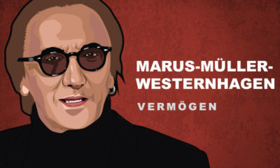 Marius-Müller Westernhagen Vermögen und Einkommen