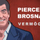 Pierce Brosnan Vermögen